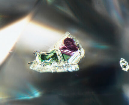 鑽石中的”蝸牛” “Snail” in Diamond