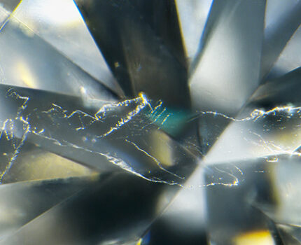 狀似鯨魚的天然鑽石孿晶紋 Natural Diamond with Twinning Wisps Resembling a Whale