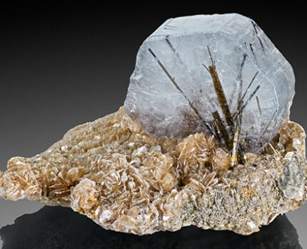 本季最晶奇：氟磷灰石中的鎂電氣石 Quarterly Crystal: Dravite in Fluorapatite