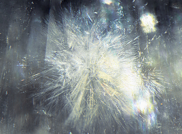 圖二：在半透明桿沸石中發現纖維狀雪花般外觀的內含物。顯微攝影：Michaela Damba，視野3.57mm。