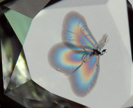 鑽石內的優雅蝴蝶 Exquisite Butterfly in Diamond